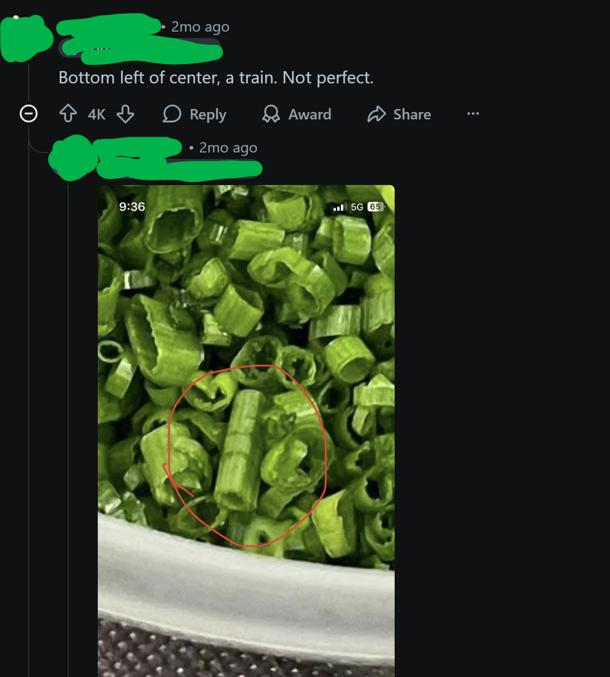 Reddit comments pointing out a "train" of poorly cut chives and saying they are "not perfect"